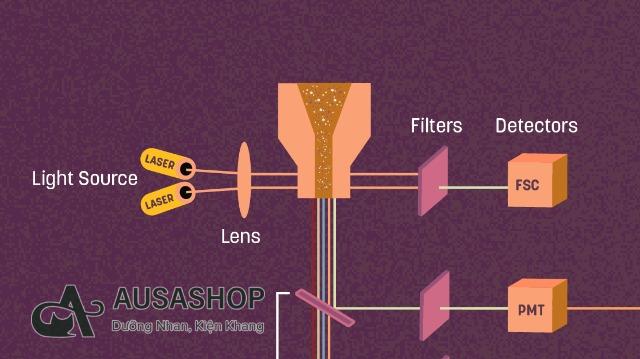 Xét nghiệm di chuyển đoạn mạch (Flow Cytometry)
