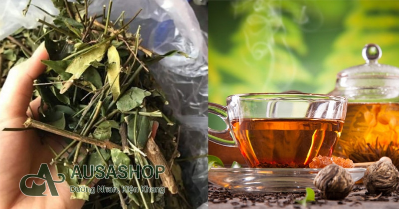 Giảm cân bằng chè vằng là phương pháp an toàn và hiệu quả