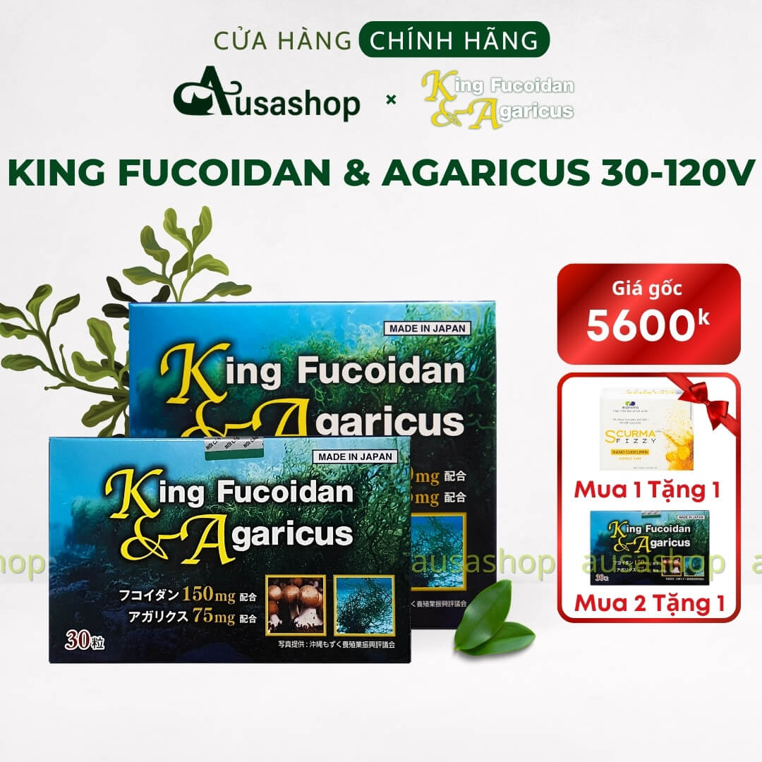 King Fucoidan và Agaricus 30v 120v (1) King Fucoidan và Agaricus 30v 120v