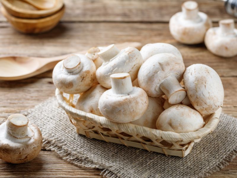 Nấm Agaricus Blazei Murill