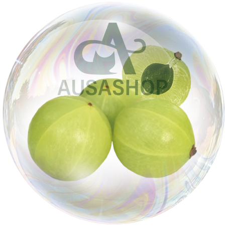 Quả lý gai Ấn Độ (Amla indian)
