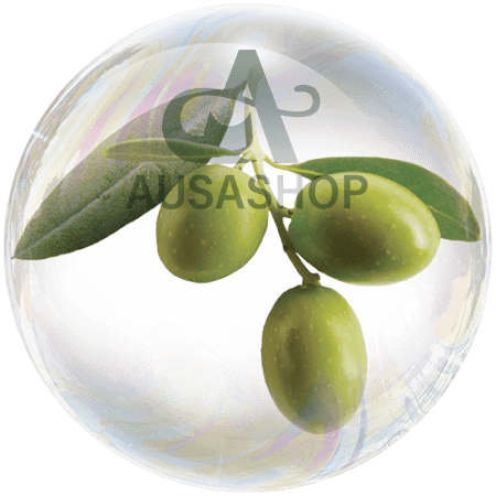 Lá ô liu châu Âu (Olea europaea