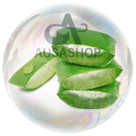 Lô hội Aloe vera
