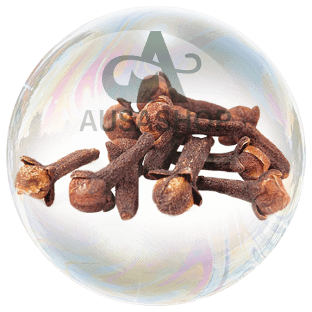 Hạt đinh hương (Syzygium Aromatum) (Clove - seed)