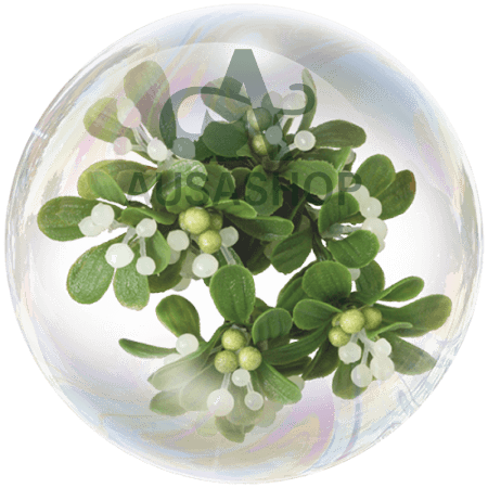 Lá tầm gửi trắng (White mistletoe leaf)