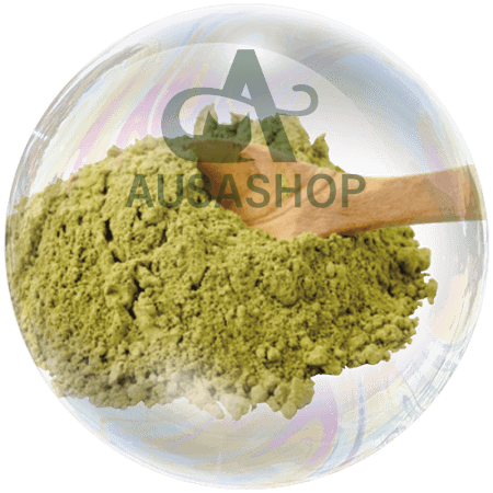 Hạt giống cây gai dầu (Cannabis sativa)