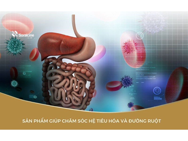 Lợi khuẩn có trong Kaichou hỗ trợ hệ miễn dịch và cân bằng đường ruột