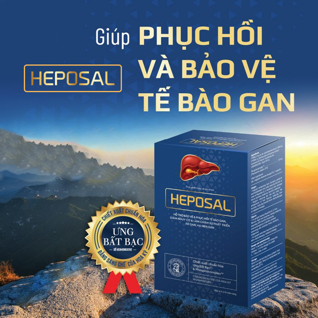 Heposal 2