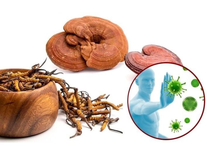 Hỗ trợ làm chậm phát triển của khối u