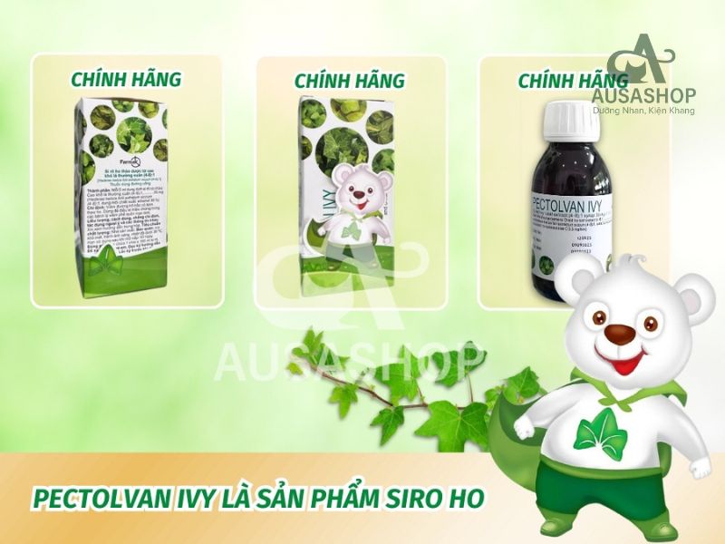 Thành phần có trong Siro Ho Bổ Phổi Pectolvan Ivy