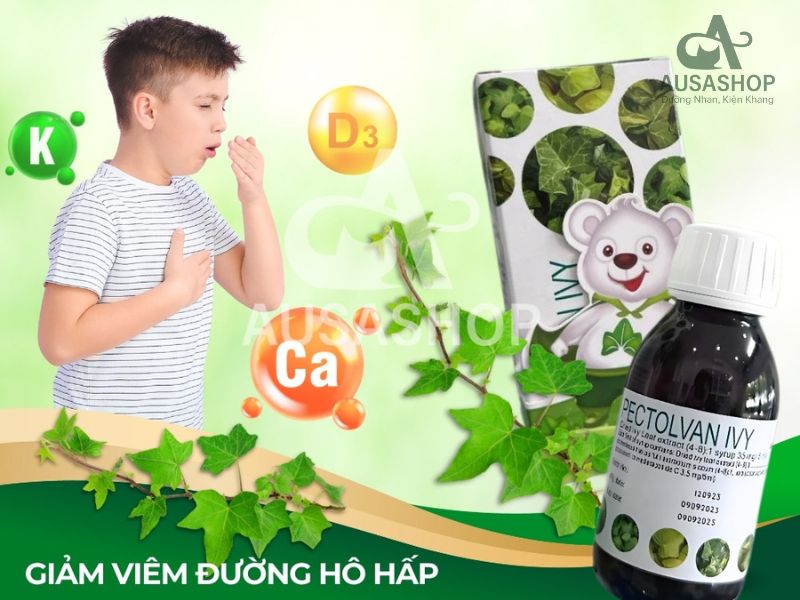 Những ai nên dùng Siro Ho Bổ Phổi Pectolvan Ivy?Những ai nên dùng Siro Ho Bổ Phổi Pectolvan Ivy?