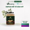 Hepius Rễ Tơ Sâm Mỹ 30g Thực Phẩm Bổ Sung