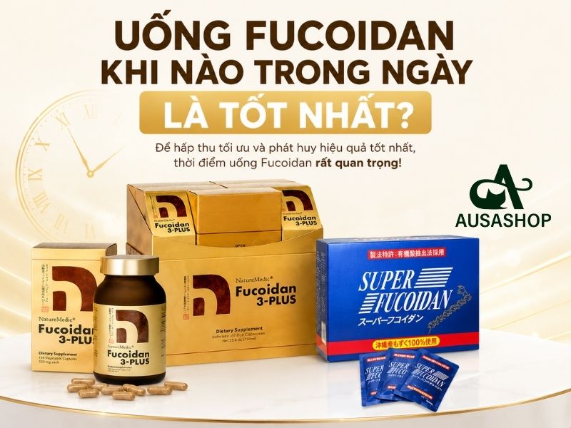 Uống Fucoidan Khi Nào Trong Ngày Là Tốt Nhất