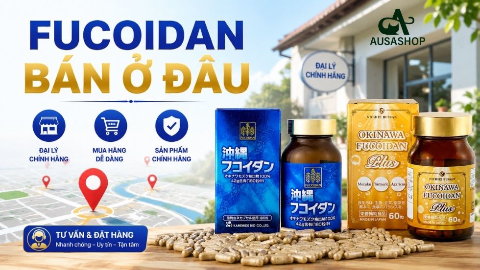 Fucoidan Bán Ở Đâu