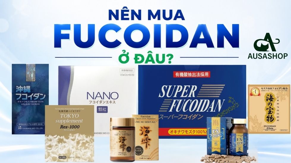 Nên Mua Fucoidan Ở Đâu?