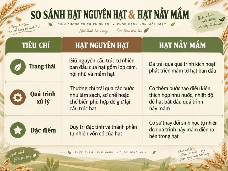 hạt nguyên hạt và nảy mầm