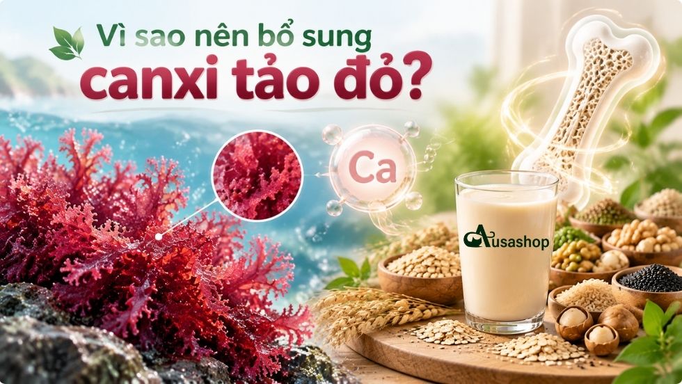 canxi tảo đỏ
