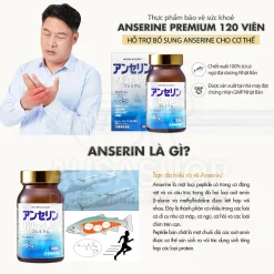 Anserine Premium 120 viên Nichiei Asia Thực Phẩm Bảo Vệ Sức Khỏe